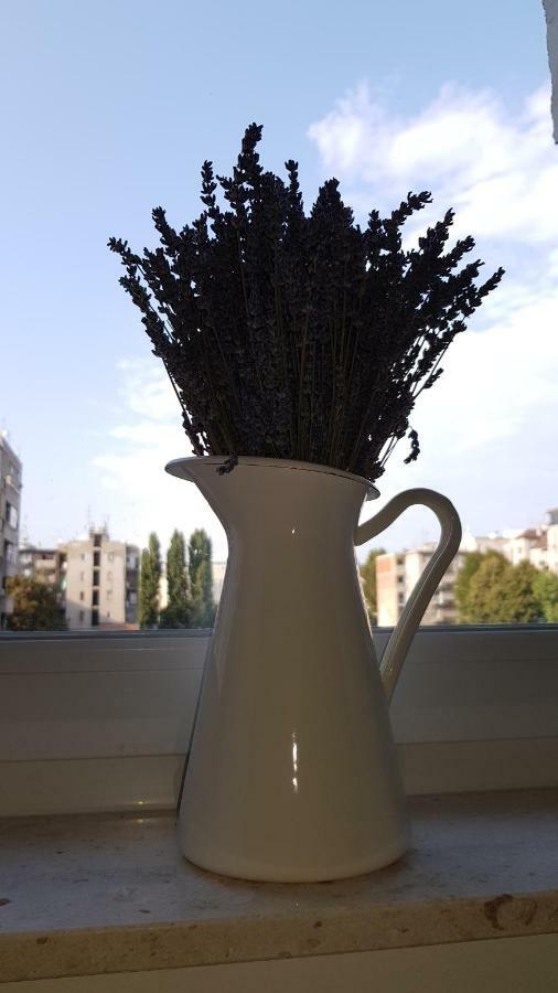 Citylux Apartments ザグレブ エクステリア 写真